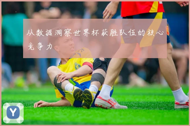 从数据洞察世界杯获胜队伍的核心竞争力