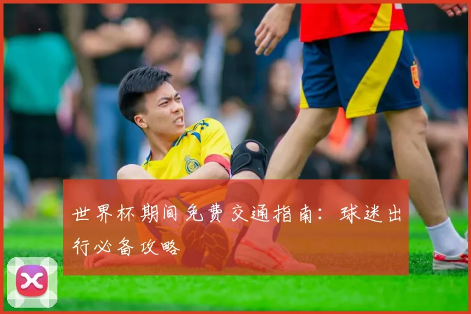 世界杯期间免费交通指南：球迷出行必备攻略