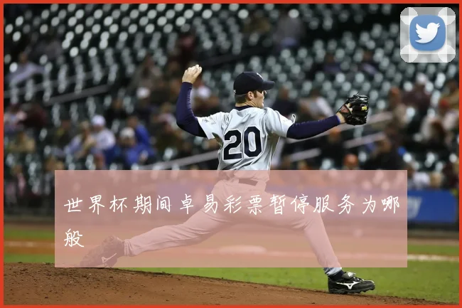 世界杯期间卓易彩票暂停服务为哪般