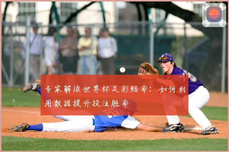 专家解读世界杯足彩赔率：如何利用数据提升投注胜率